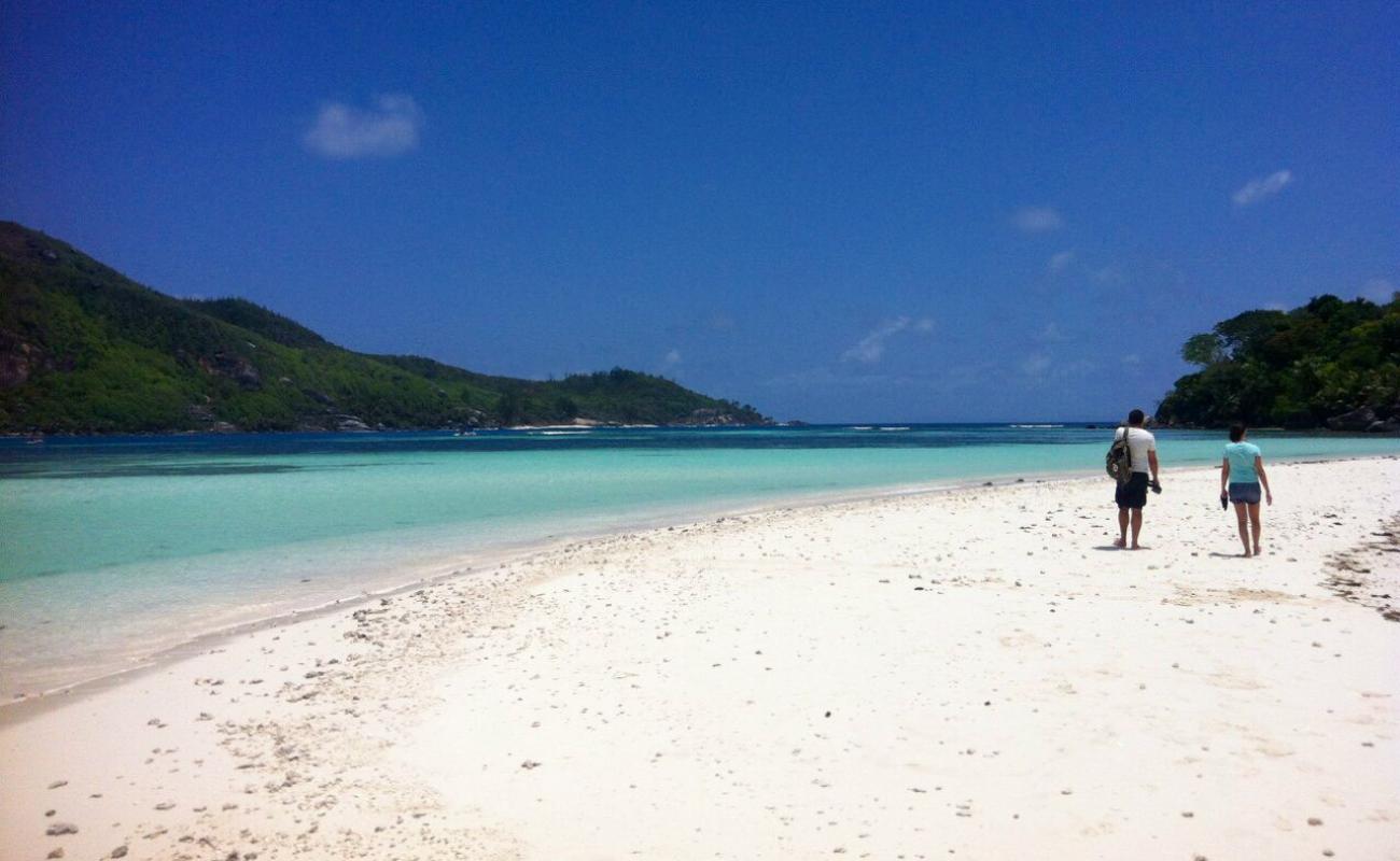 Moyenne Island Beach II'in fotoğrafı parlak kum yüzey ile