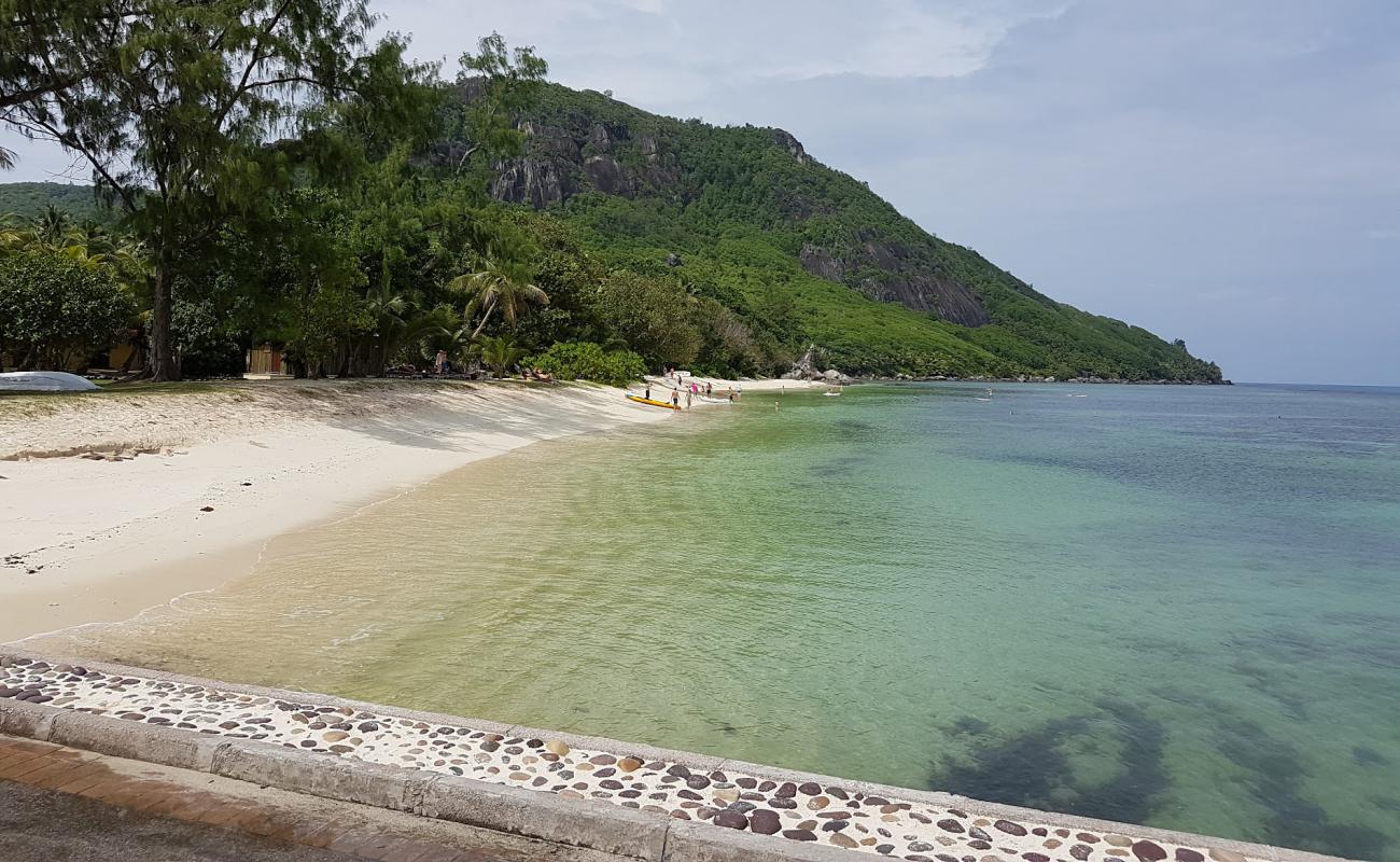Anse Cimetiere Beach'in fotoğrafı i̇nce bej kum yüzey ile