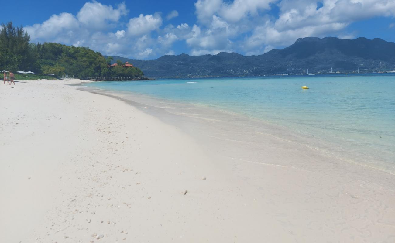 Anse Mare Jupe Beach'in fotoğrafı i̇nce bej kum yüzey ile