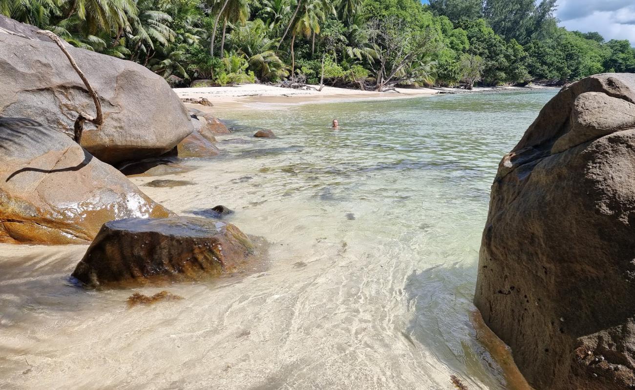 Anse Cabot Beach'in fotoğrafı i̇nce bej kum yüzey ile