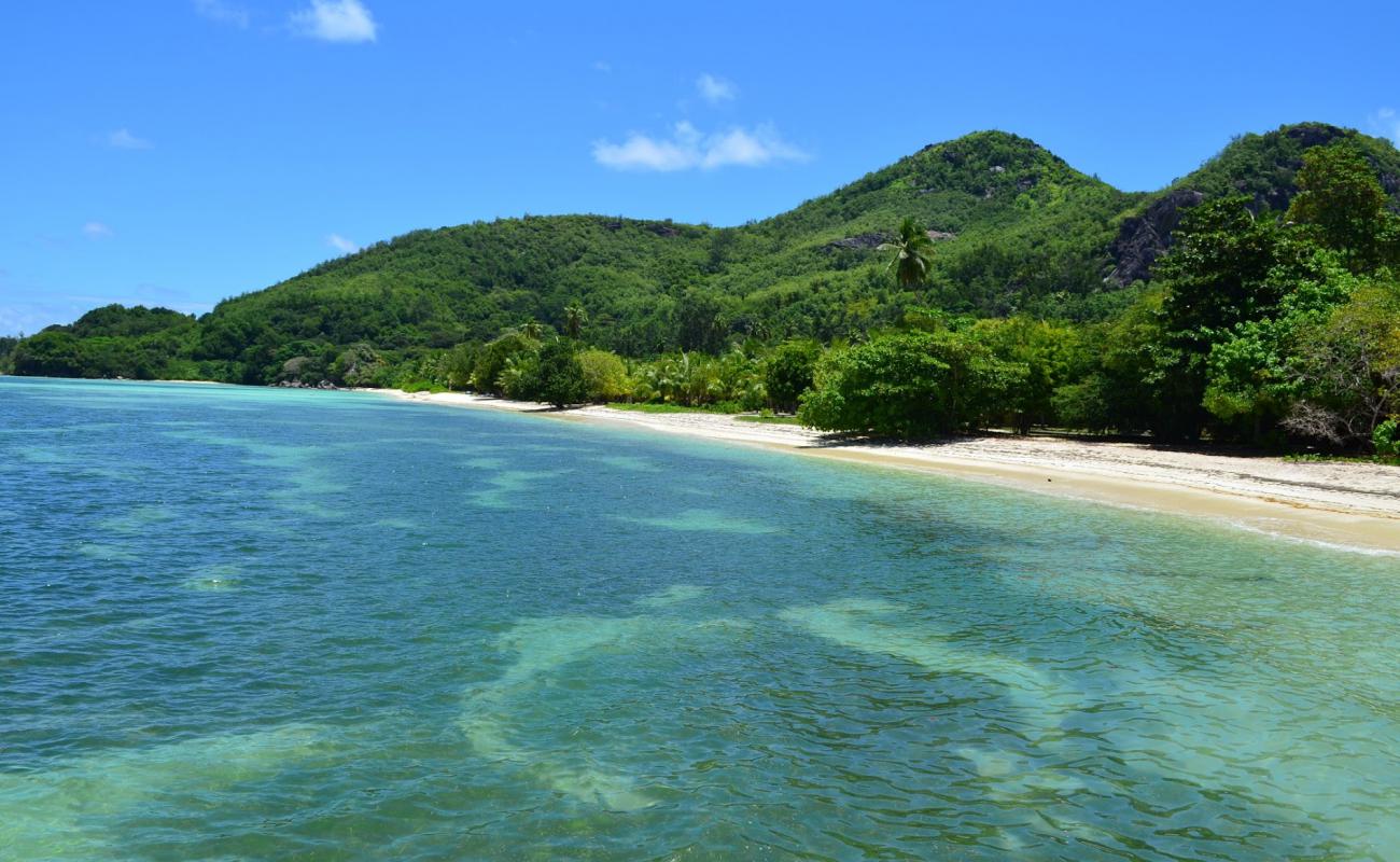 Anse Manom'in fotoğrafı i̇nce bej kum yüzey ile