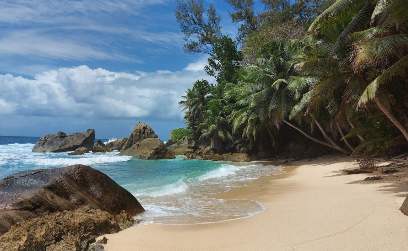 Anse Patates Beach'in fotoğrafı açık bej kum yüzey ile
