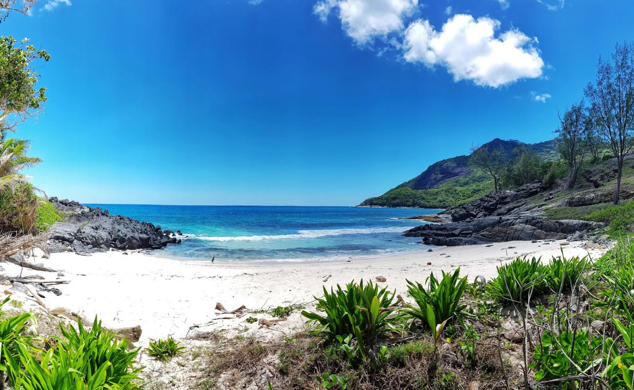 Anse Simetiere Beach'in fotoğrafı i̇nce bej kum yüzey ile