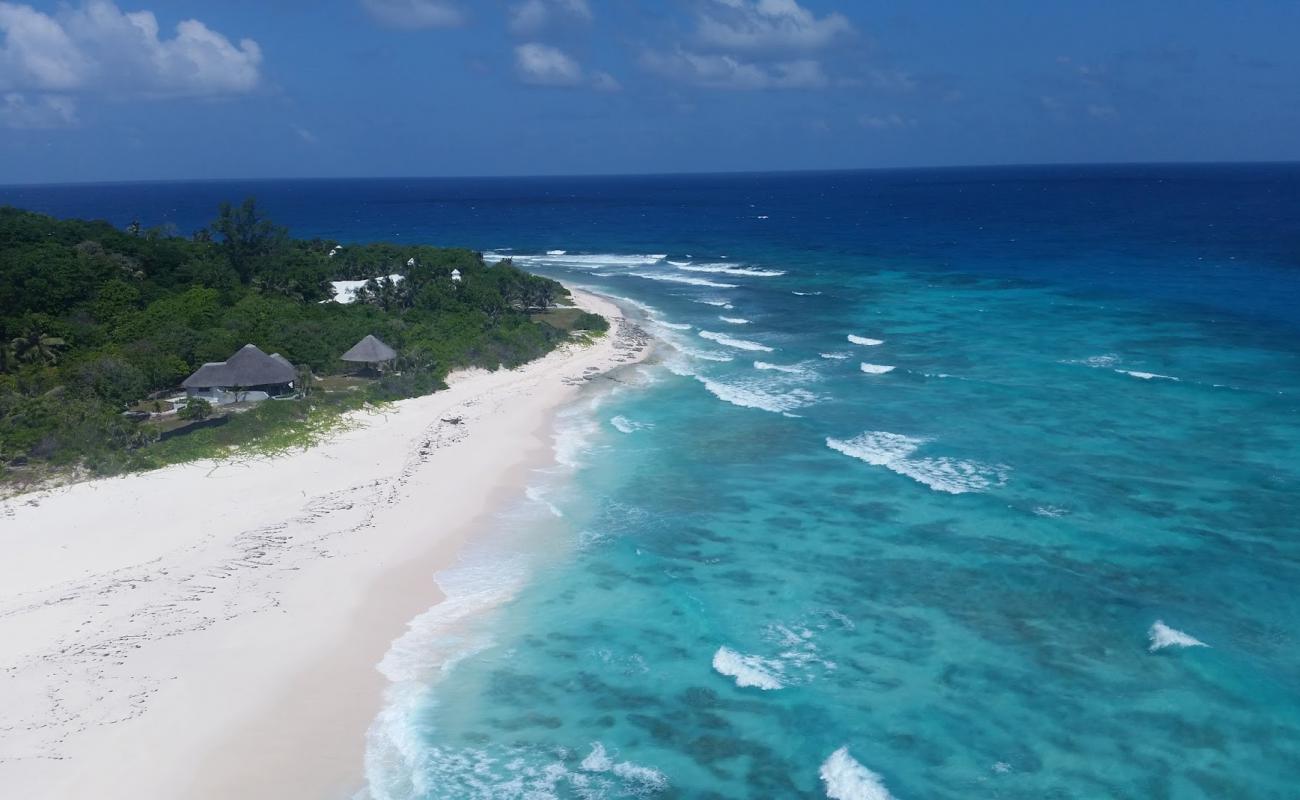 Cousine Island Beach'in fotoğrafı i̇nce beyaz kum yüzey ile