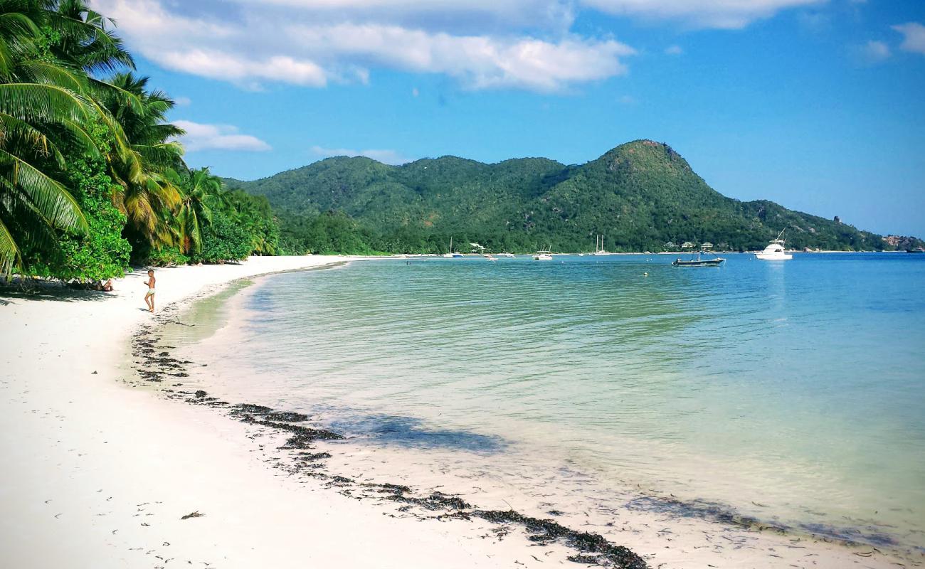 Grand Anse beach'in fotoğrafı beyaz ince kum yüzey ile