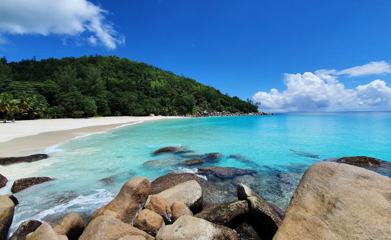 Anse Georgette Plajı'in fotoğrafı beyaz ince kum yüzey ile