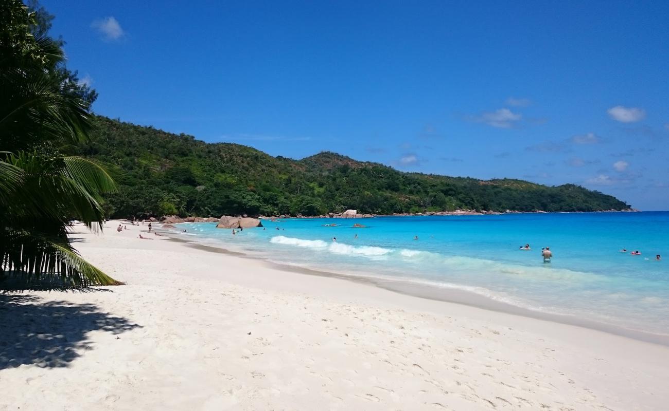 Anse Lazio Plajı'in fotoğrafı beyaz ince kum yüzey ile