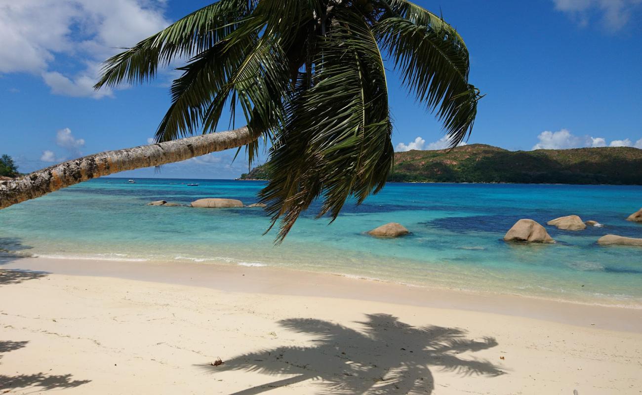 Anse Boudin Beach'in fotoğrafı parlak kum yüzey ile