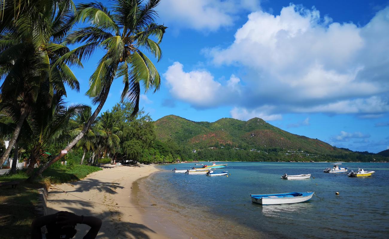 Anse Possession Beach'in fotoğrafı parlak kum yüzey ile