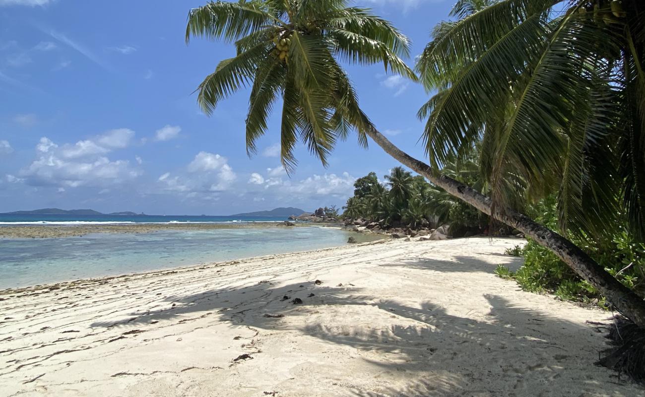 Anse La Blague Beach'in fotoğrafı parlak kum yüzey ile