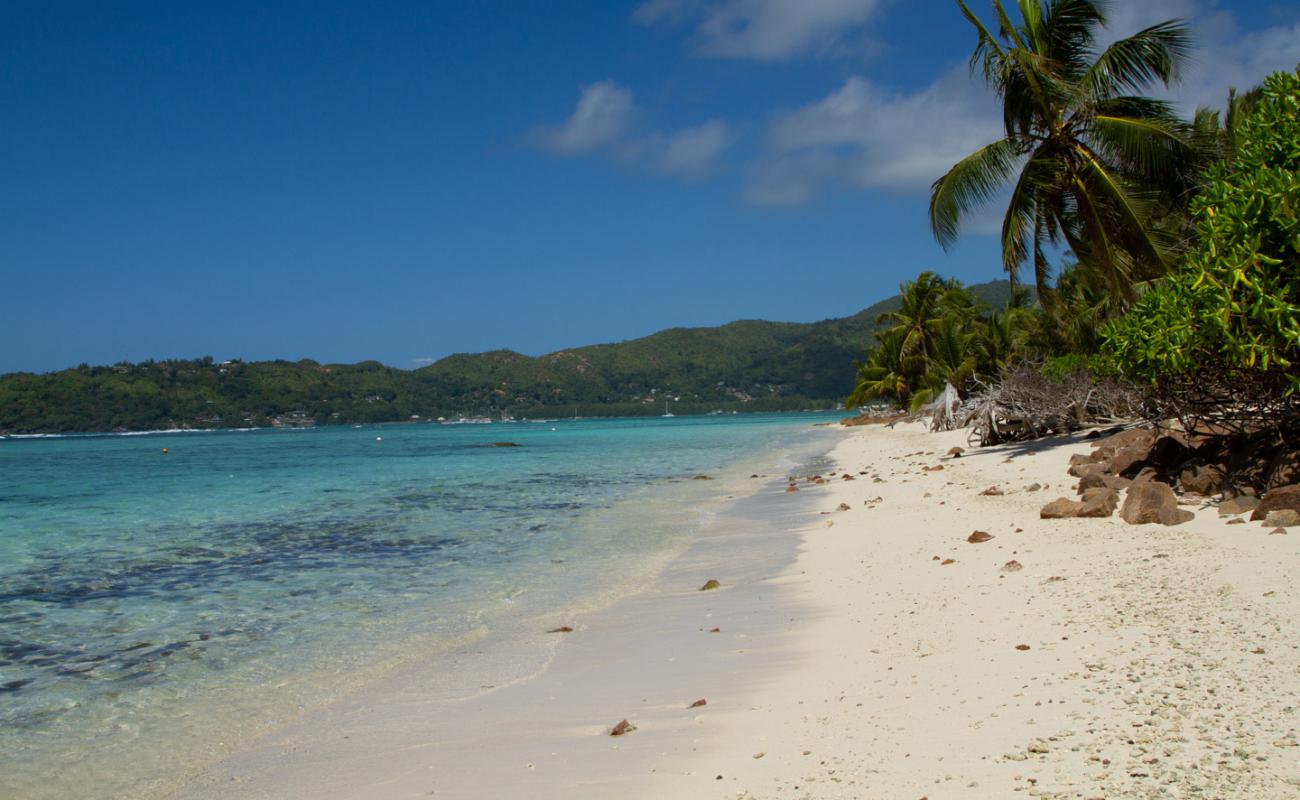 Anse La Farine Beach'in fotoğrafı açık bej kum yüzey ile
