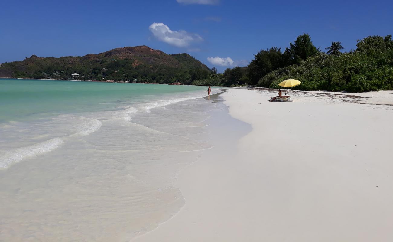 Anse Takamaka Beach'in fotoğrafı beyaz kum yüzey ile