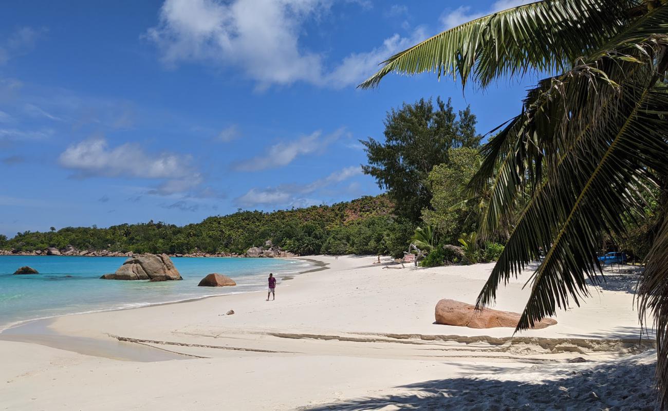 Anse Marie Louise Beach'in fotoğrafı açık bej kum yüzey ile