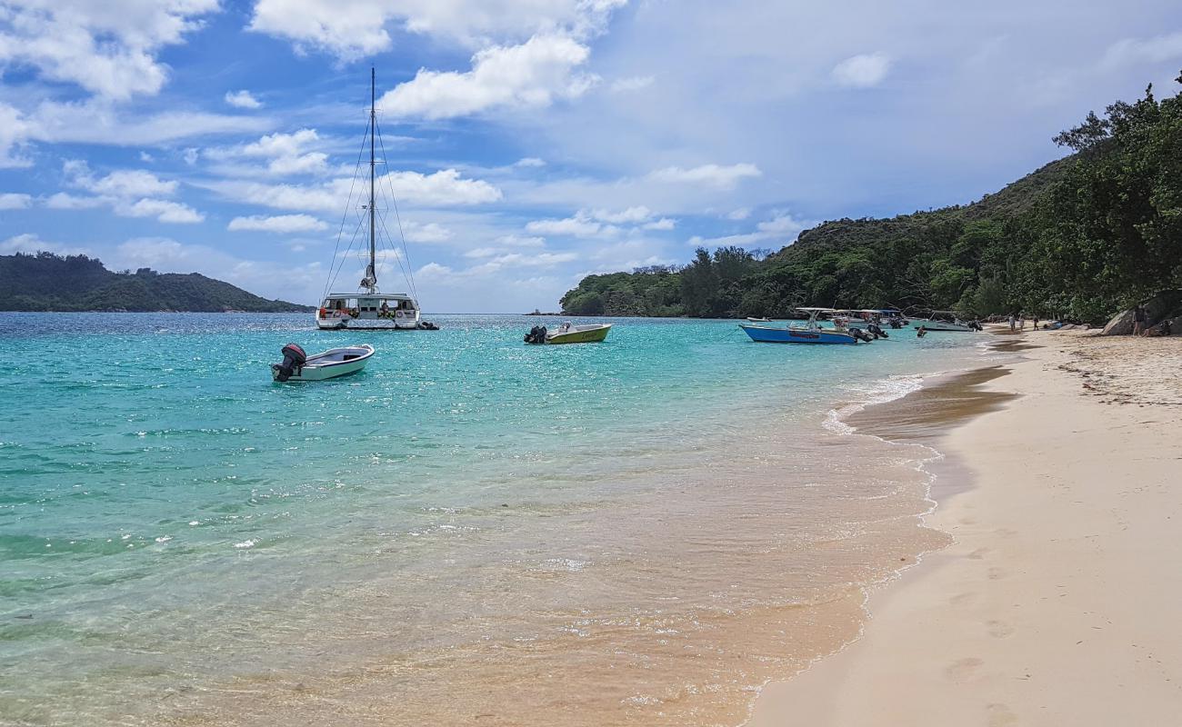 Anse St. Jose Plajı'in fotoğrafı parlak ince kum yüzey ile