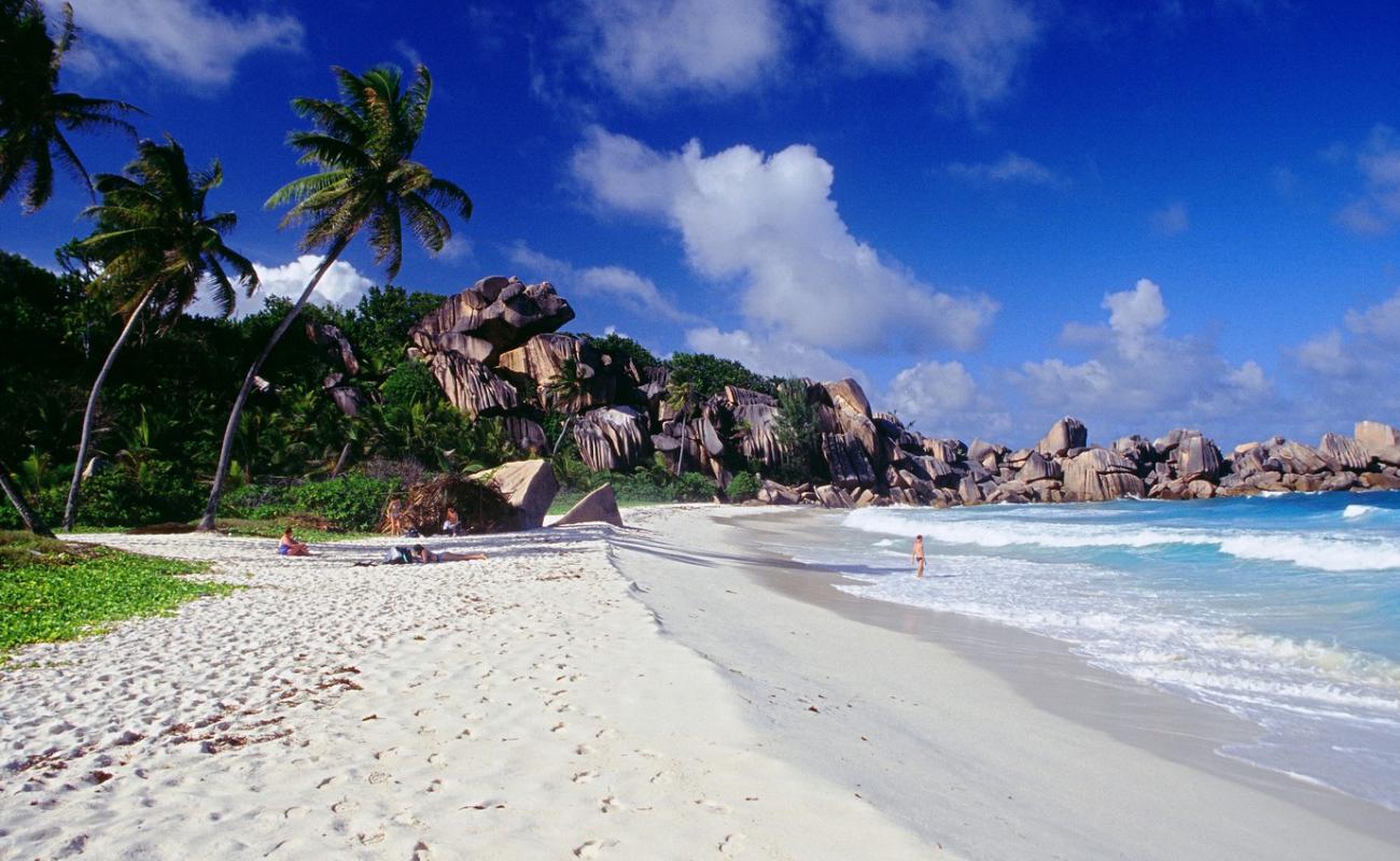 Grand Anse Plajı'in fotoğrafı beyaz ince kum yüzey ile