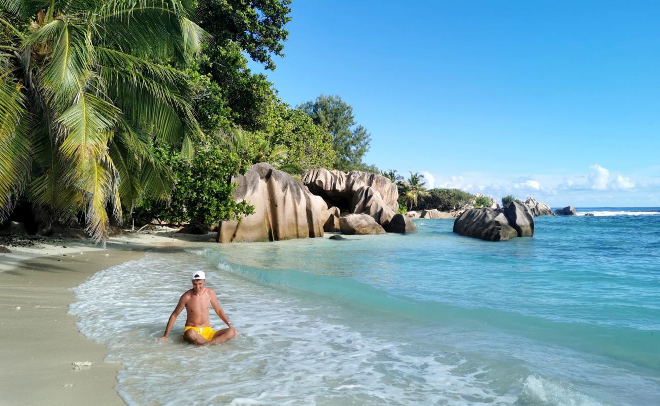 Anse Pierrot Beach'in fotoğrafı açık bej kum yüzey ile