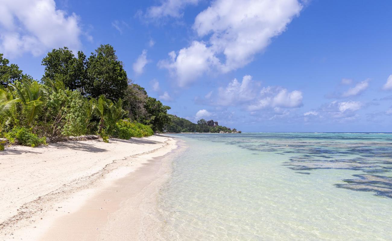 Anse Source d'Argent III'in fotoğrafı açık bej kum yüzey ile