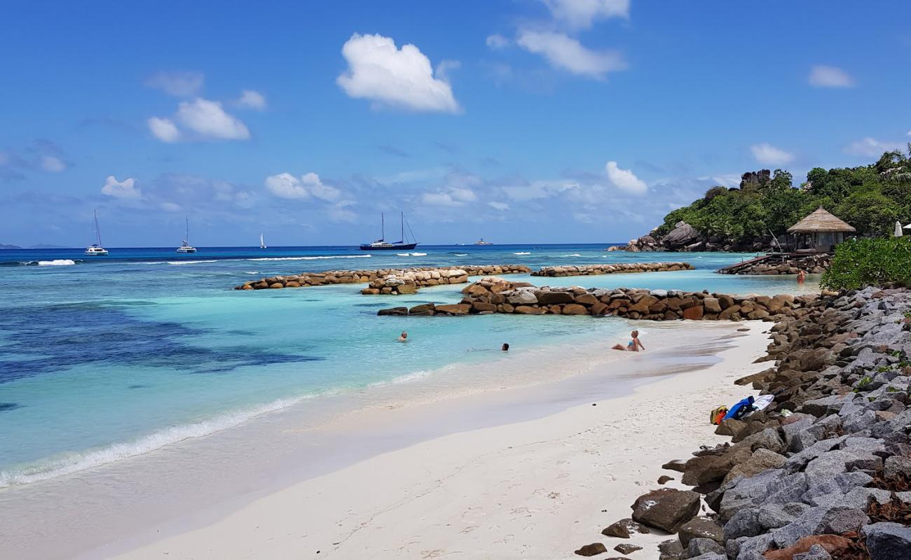 Anse Reunion Beach'in fotoğrafı açık bej kum yüzey ile