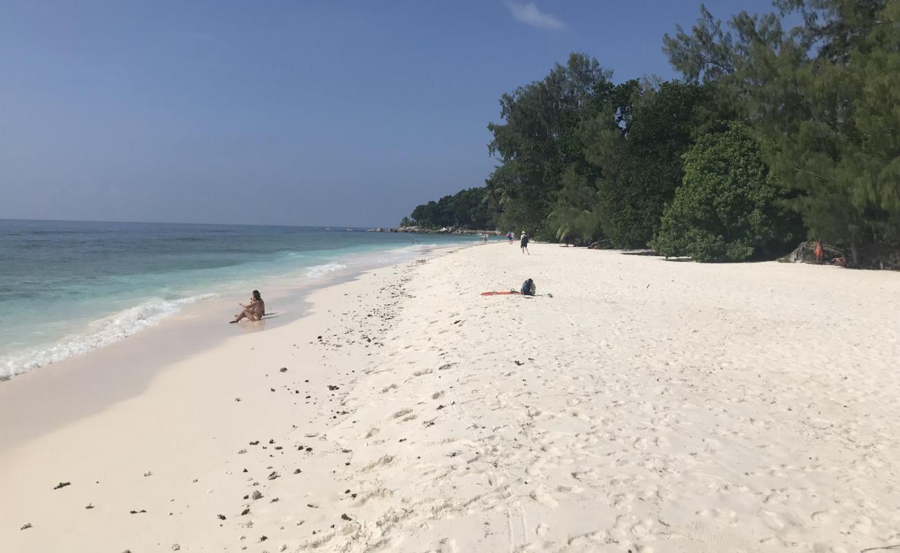 Anse Severe Schnorcheln Beach'in fotoğrafı açık bej kum yüzey ile