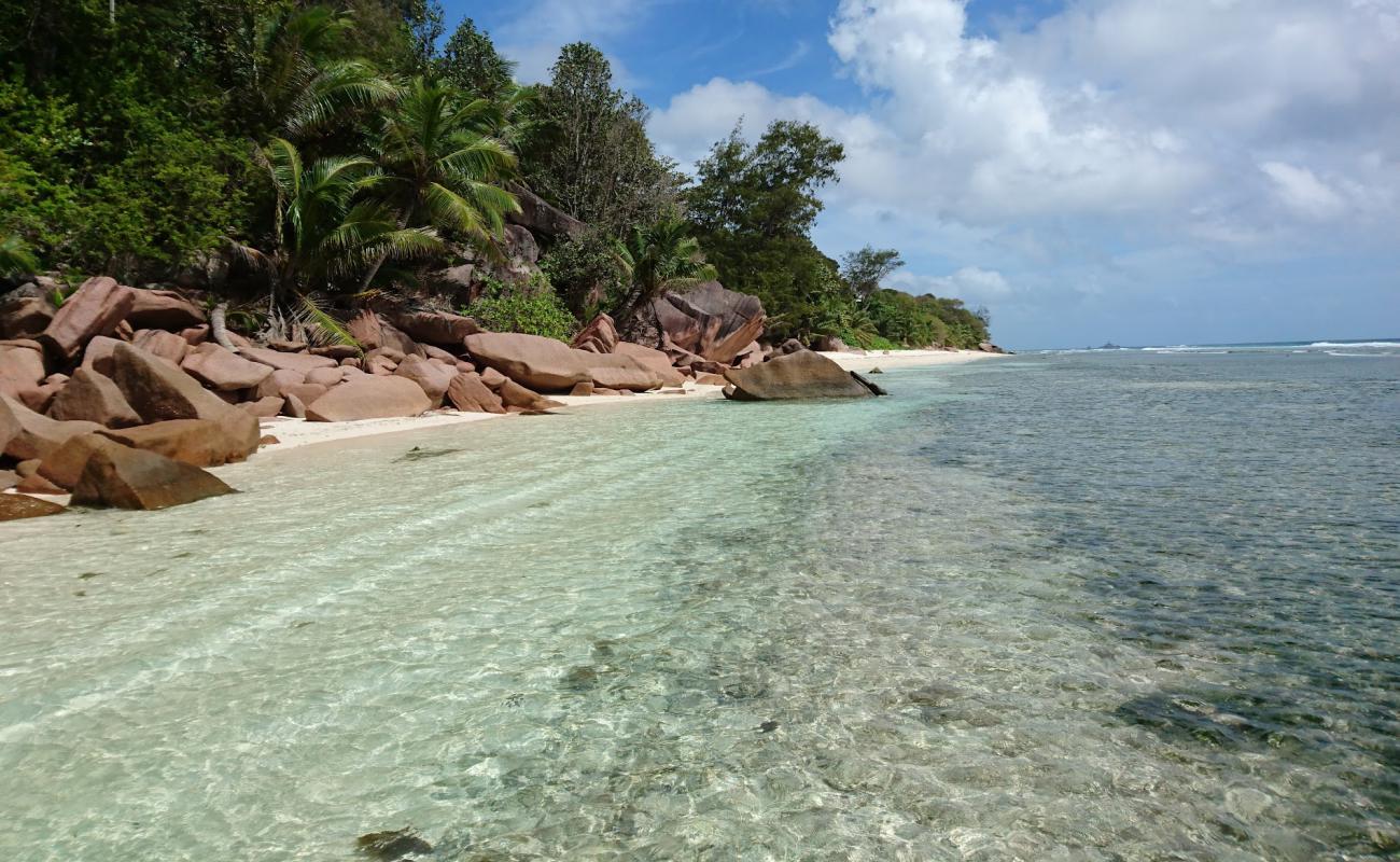 Anse Gaulettes Beach'in fotoğrafı beyaz kum yüzey ile