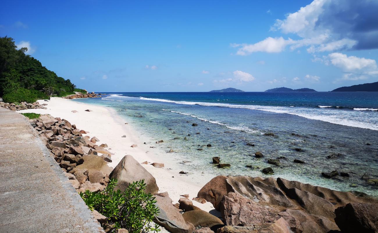 Anse Fourmis Beach'in fotoğrafı açık bej kum yüzey ile