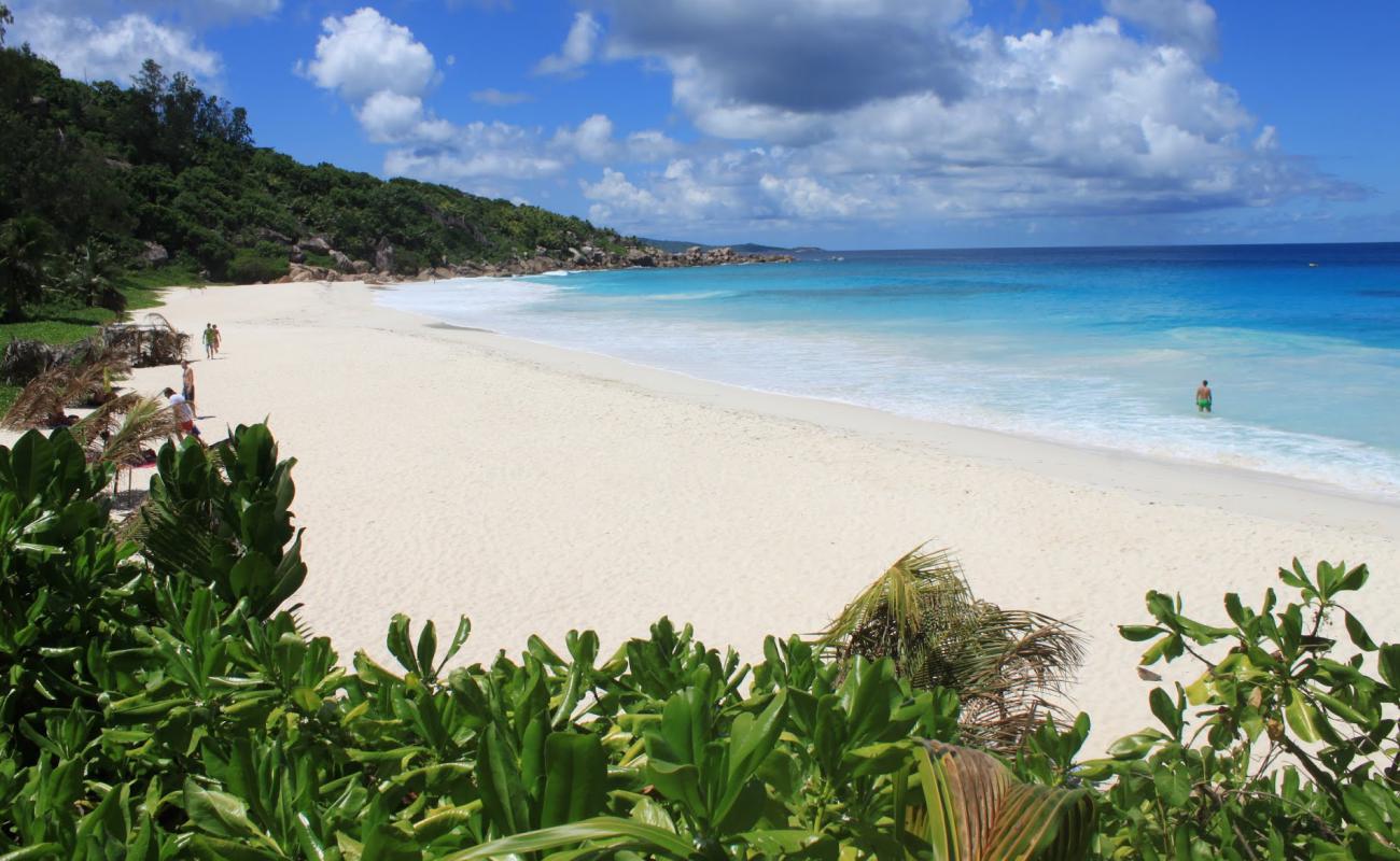 Petite Anse Plajı'in fotoğrafı beyaz ince kum yüzey ile