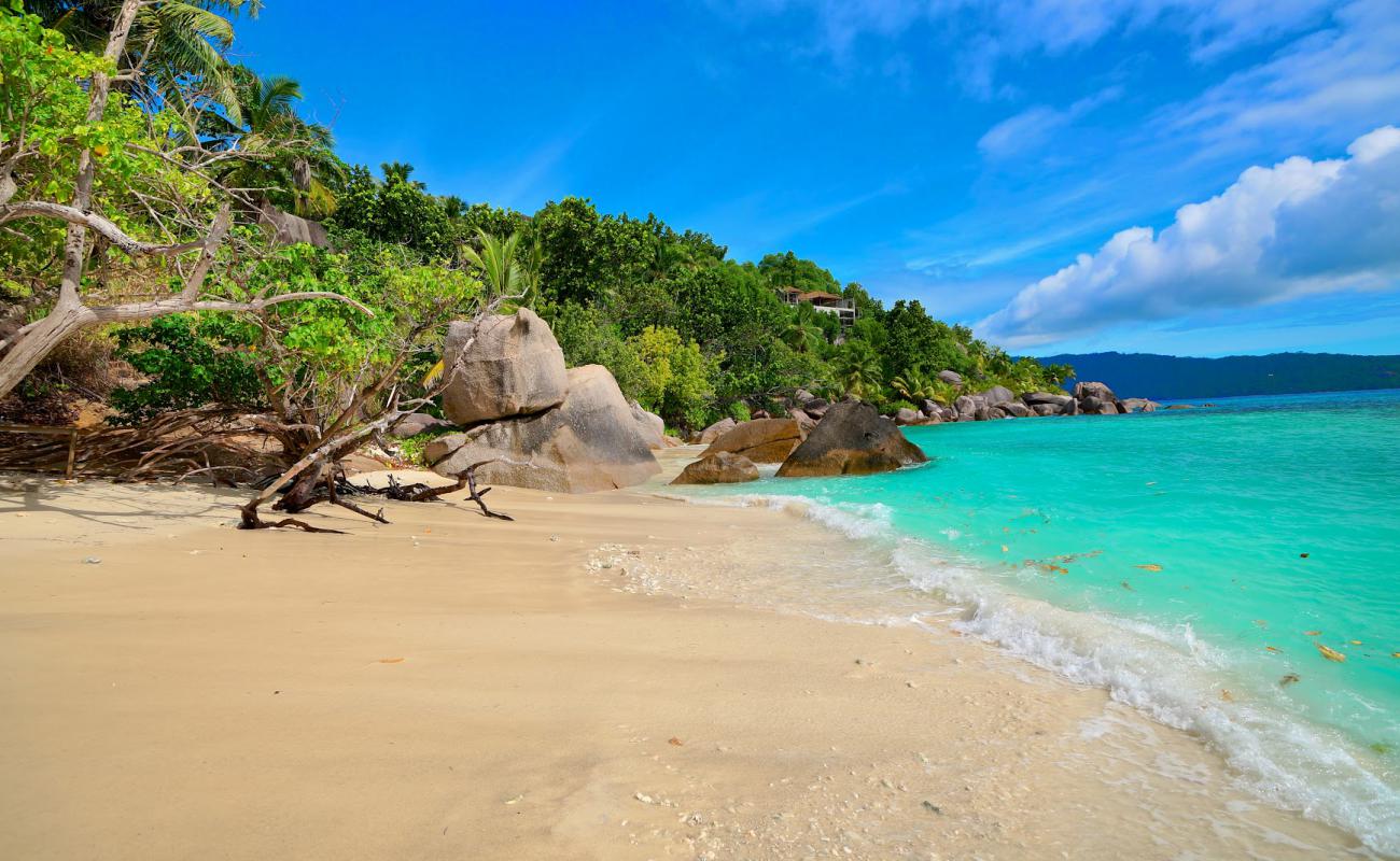 Felicite Island Beach II'in fotoğrafı açık bej kum yüzey ile