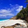 Anse Macquereau Plajı