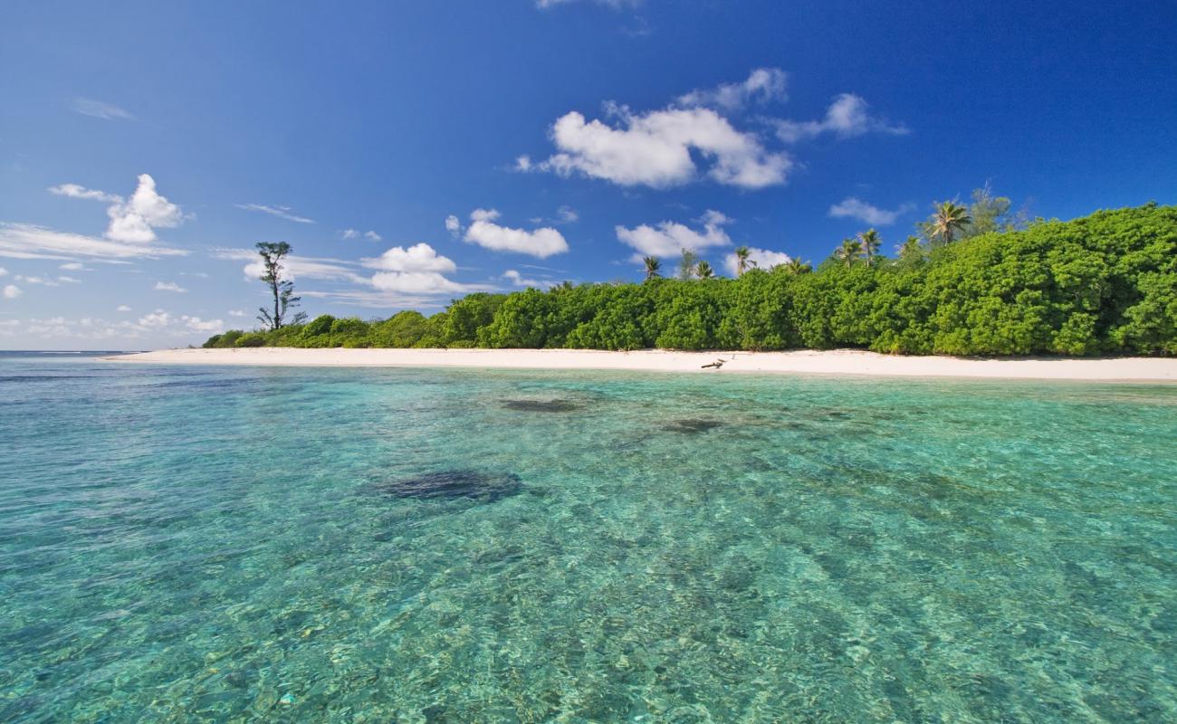 Bird Island Beach'in fotoğrafı beyaz kum yüzey ile