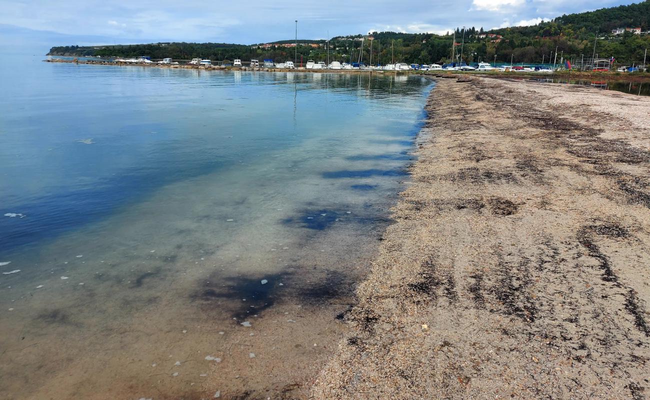 Pokopalisce skoljk'in fotoğrafı bej kabuklu kum yüzey ile
