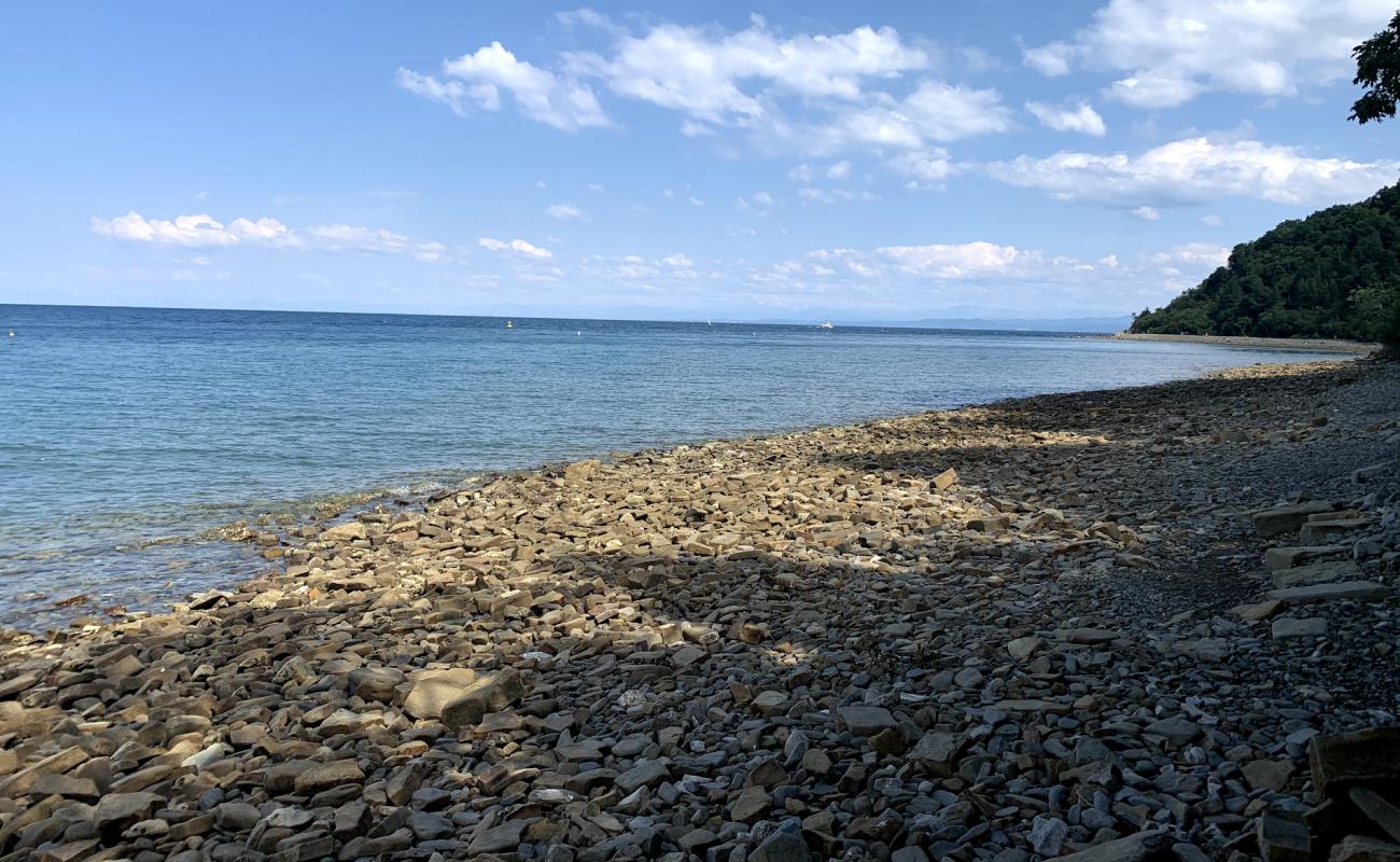 Strunjan beach'in fotoğrafı taşlar yüzey ile