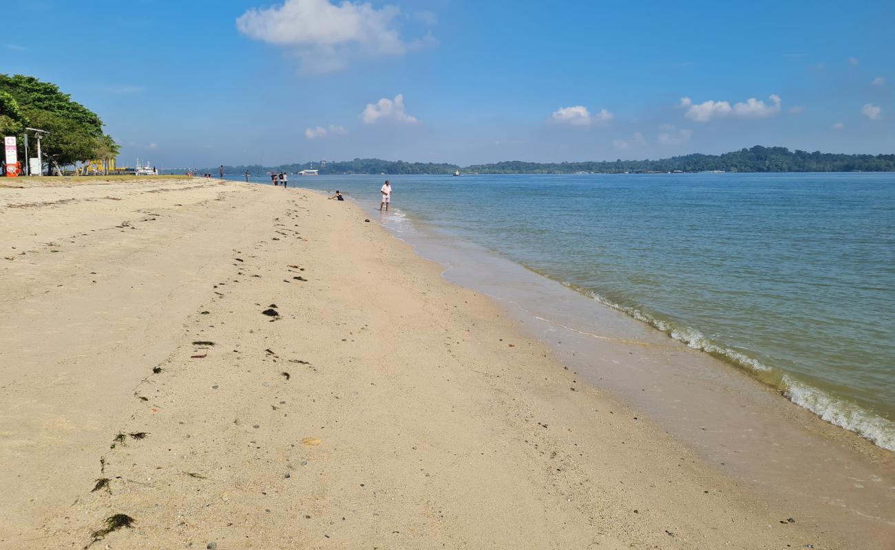 Changi Beach'in fotoğrafı açık bej kum yüzey ile