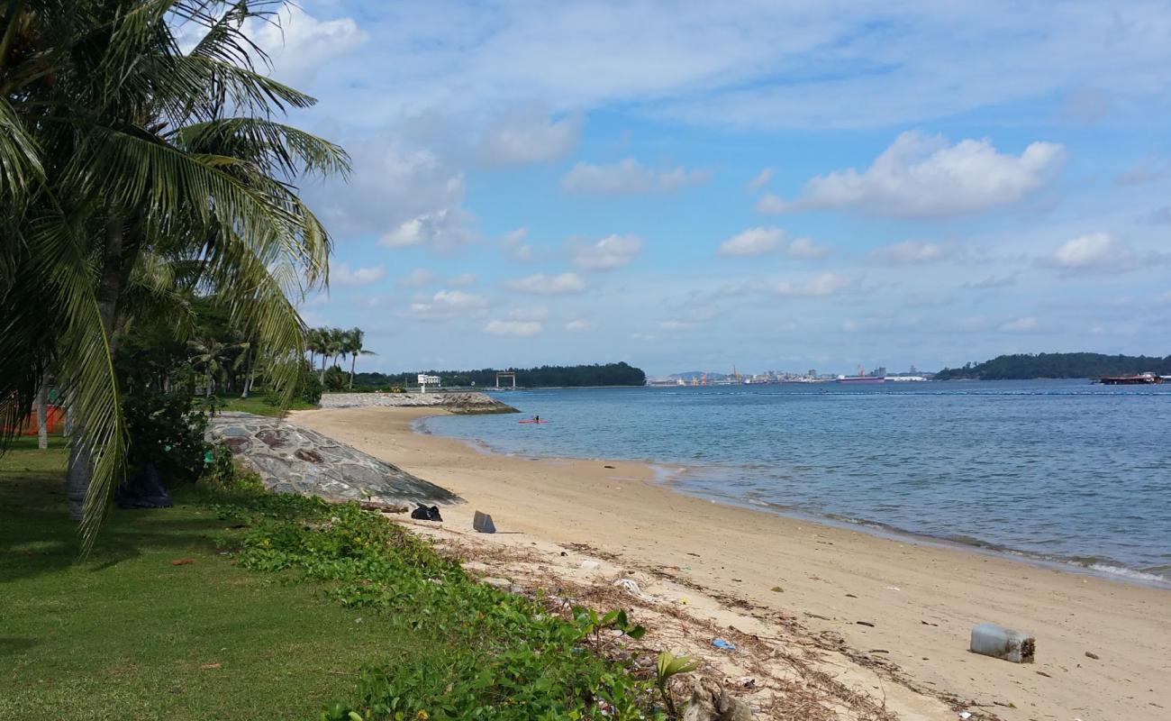 Pasir Ris Beach'in fotoğrafı açık bej kum yüzey ile