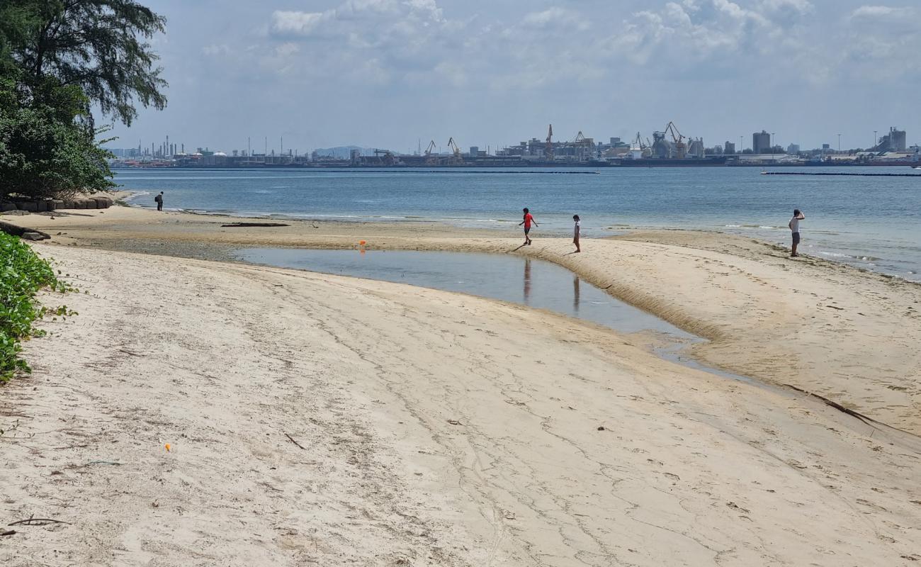 Coney Island'in fotoğrafı parlak kum yüzey ile