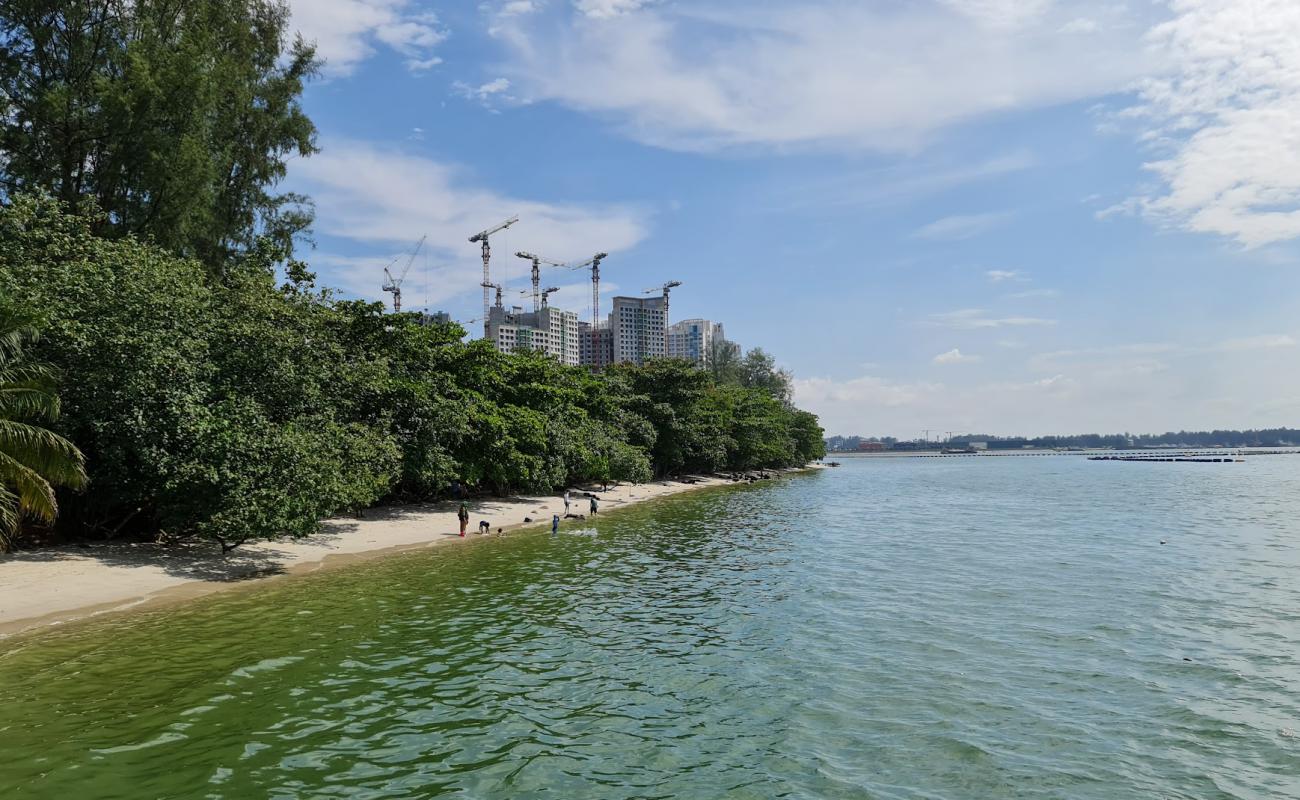 Northshore Beach'in fotoğrafı açık bej kum yüzey ile