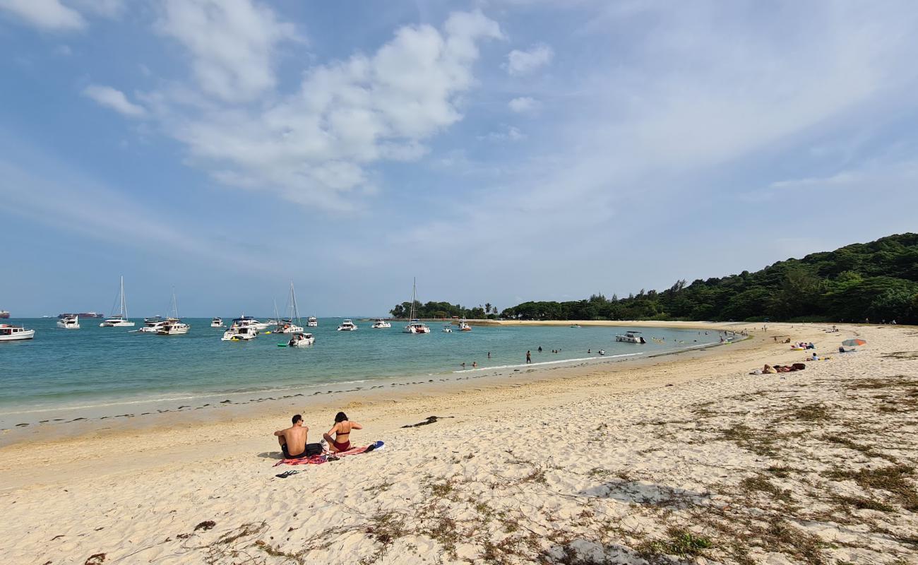 Lazarus Island Beach'in fotoğrafı açık bej kum yüzey ile