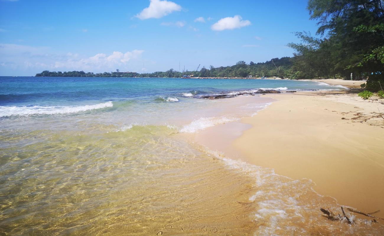 Wild Beach'in fotoğrafı açık bej kum yüzey ile