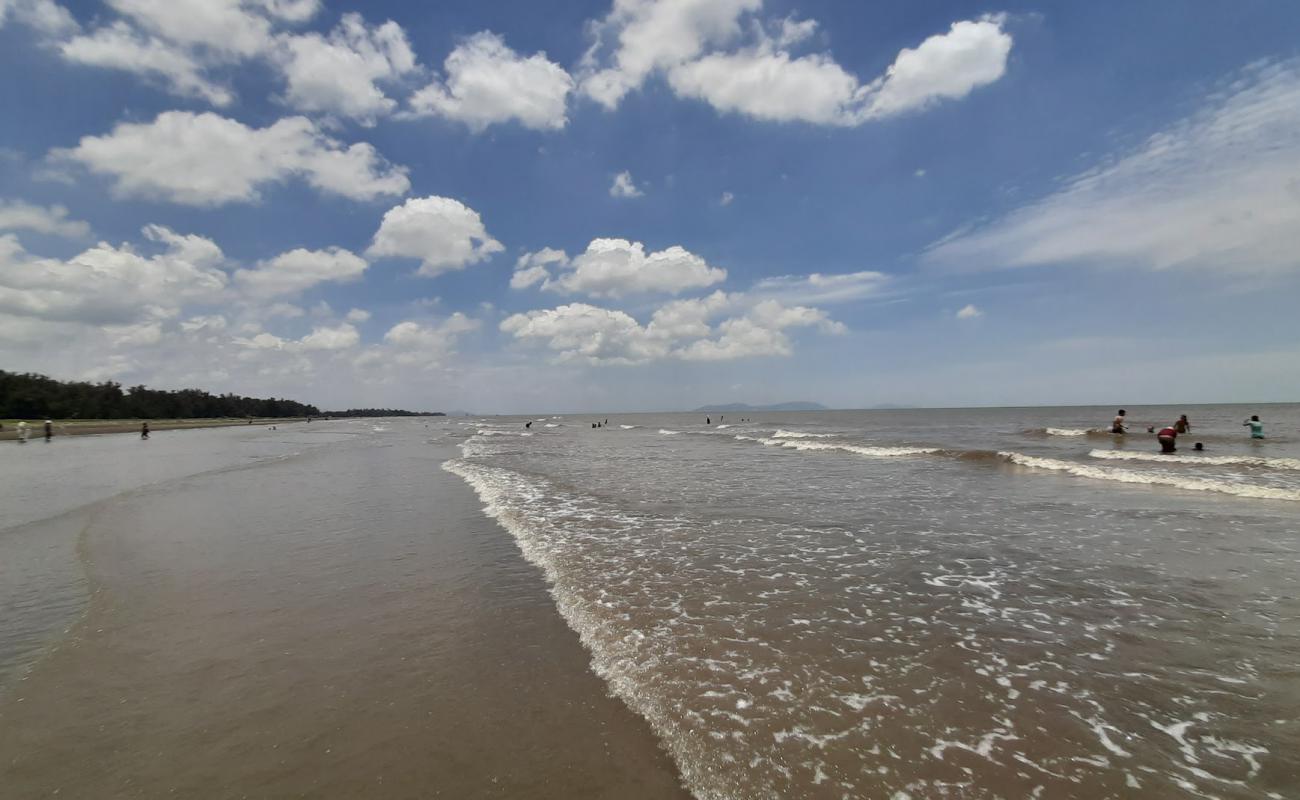 Can Gio Beach'in fotoğrafı kahverengi kum yüzey ile