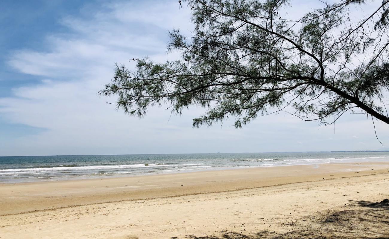 Thanh Long Bay'in fotoğrafı açık bej kum yüzey ile