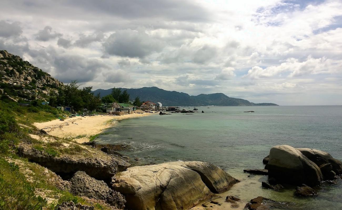 Ninh Phuoc Beach'in fotoğrafı açık bej kum yüzey ile