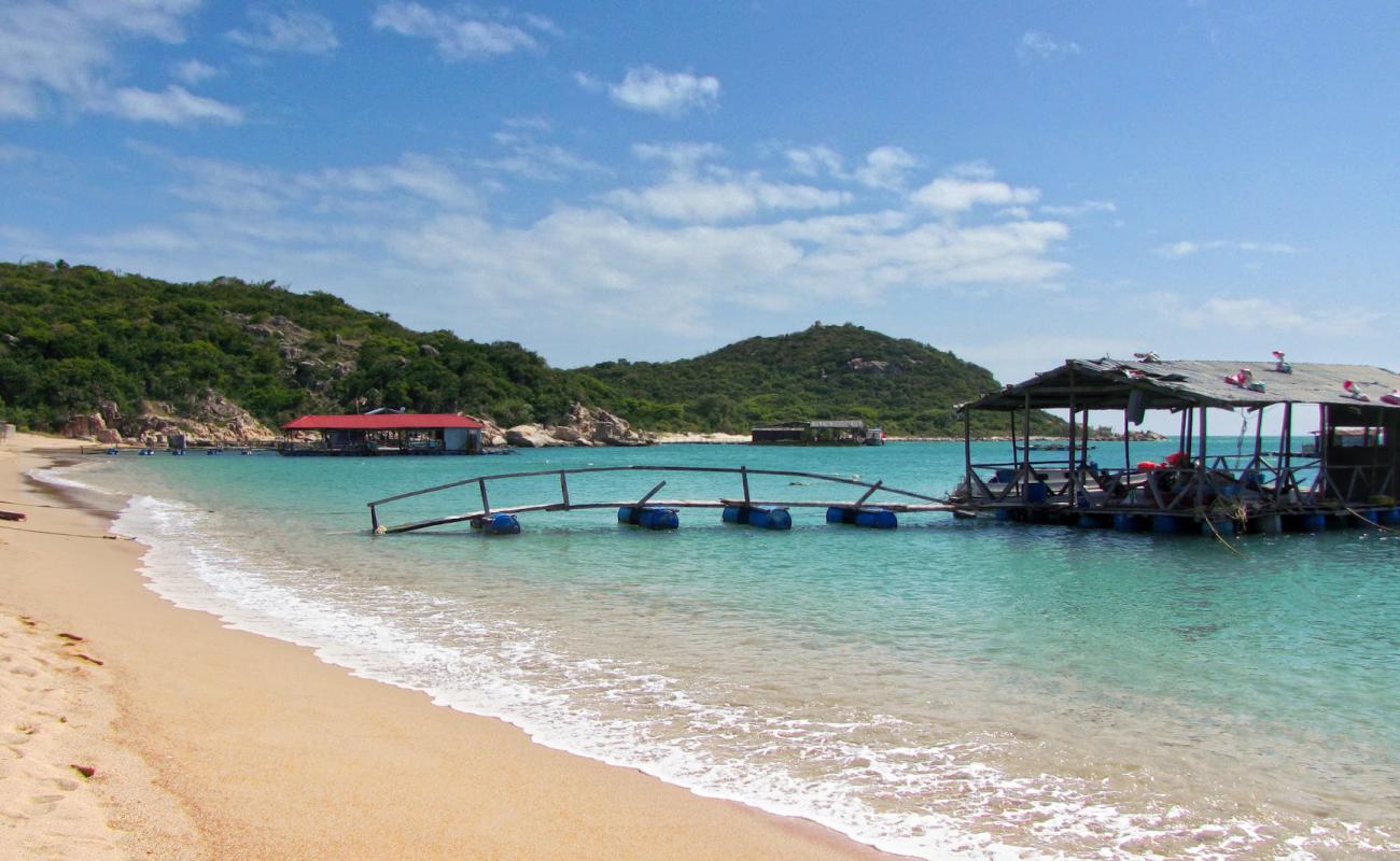 Vinh Hy Beach'in fotoğrafı parlak kum yüzey ile