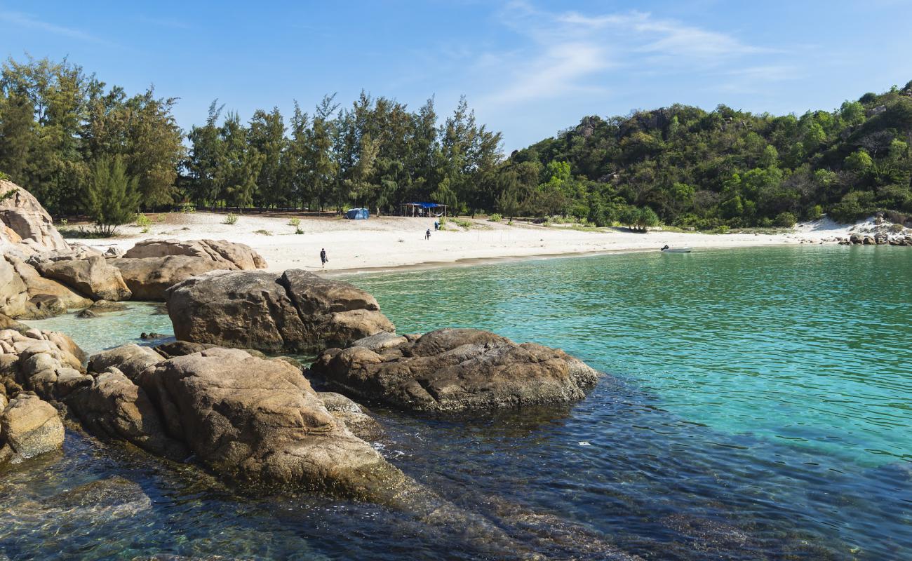 Robinson Beach'in fotoğrafı i̇nce beyaz kum yüzey ile