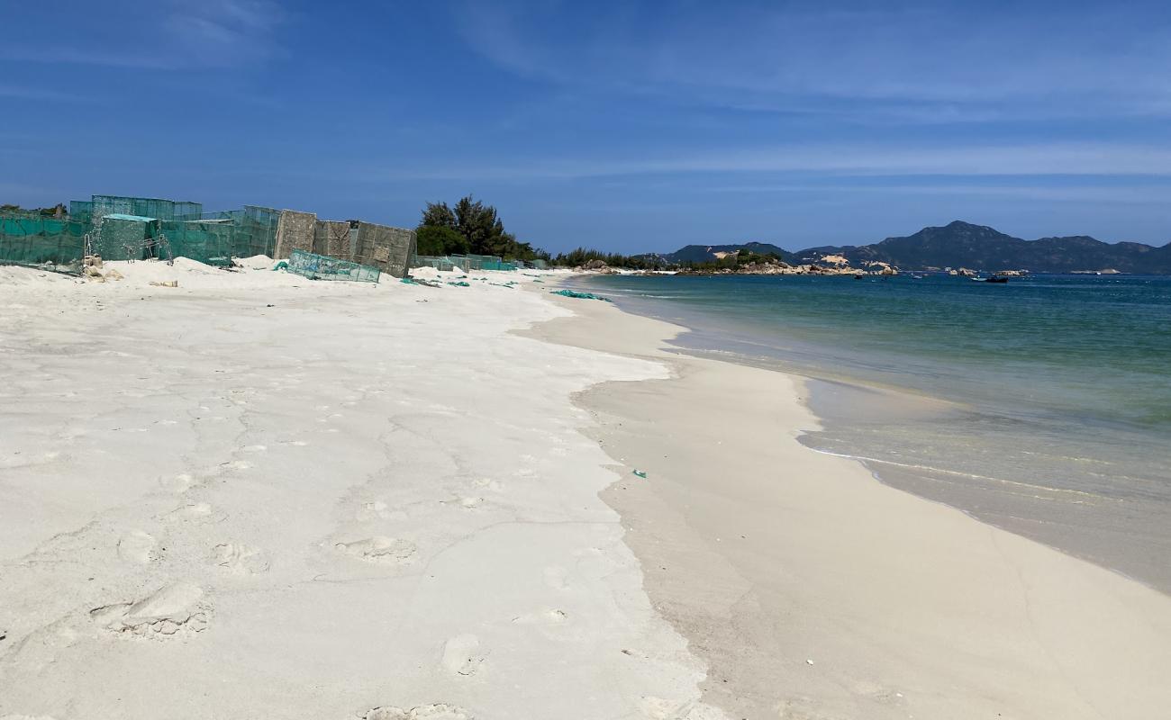 Cam Ranh Beach'in fotoğrafı açık bej kum yüzey ile