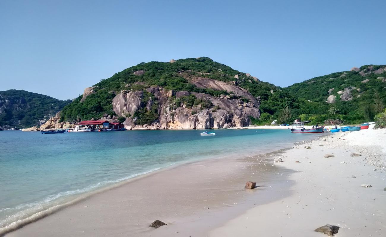 Bai Nha Beach'in fotoğrafı küçük bej çakıl yüzey ile
