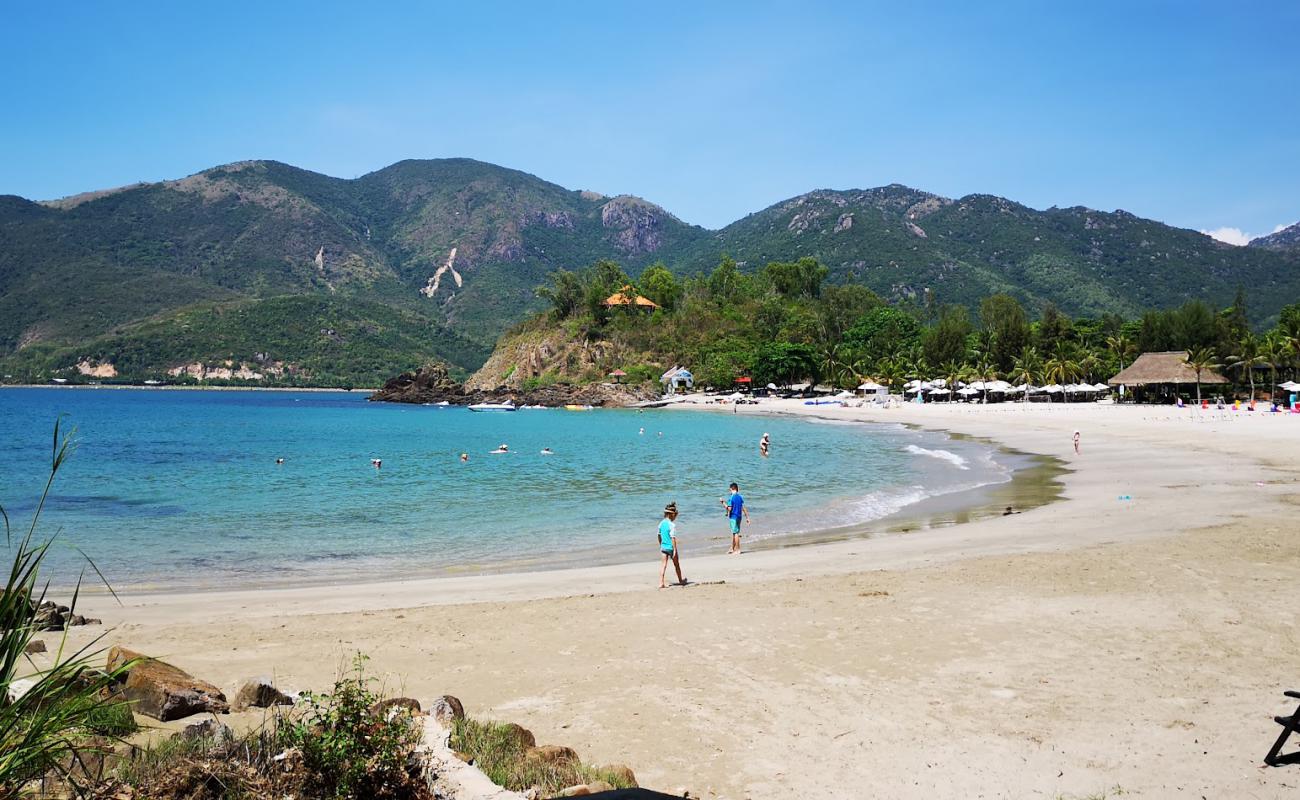 Nhu Tien Beach'in fotoğrafı parlak ince kum yüzey ile