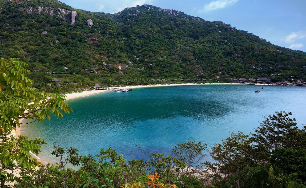 Altı His Ninh Van Koyu Plajı'in fotoğrafı açık bej kum yüzey ile