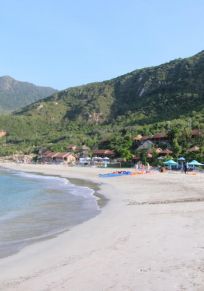Ninh Van