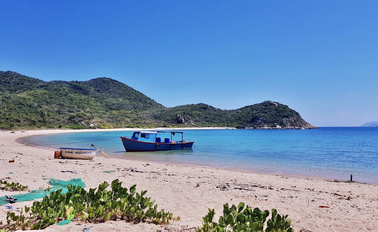 Bai Dam Beach'in fotoğrafı parlak kum yüzey ile