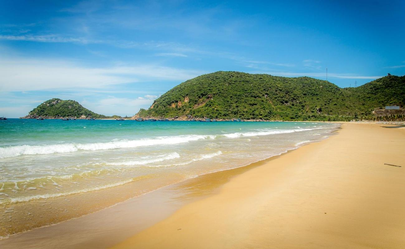 Dai Lanh Beach'in fotoğrafı parlak kum yüzey ile