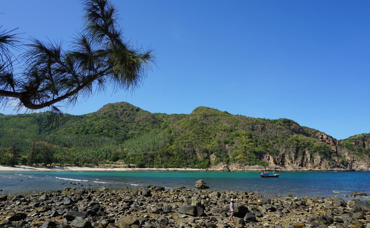 Reef Beach'in fotoğrafı açık bej kum yüzey ile